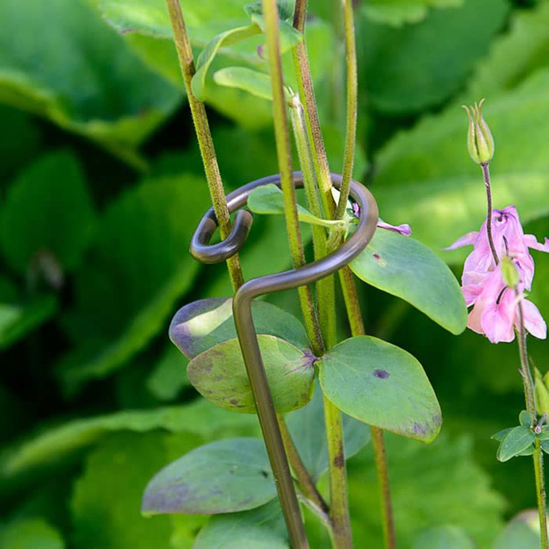 Växtstöd, Single Stem Loop, grön, 6-pack